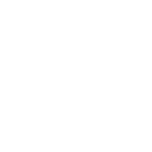 Tops/Shirts